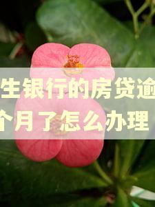 民生银行的房贷逾期3个月了怎么办理