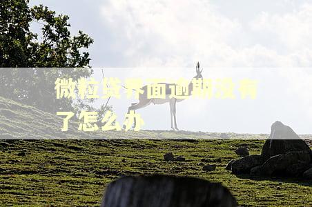 微粒贷界面逾期没有了怎么办