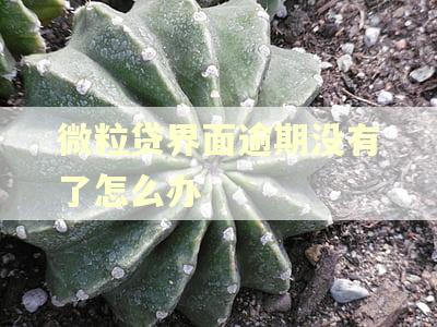 微粒贷界面逾期没有了怎么办 微粒贷界面逾期没有了怎么办