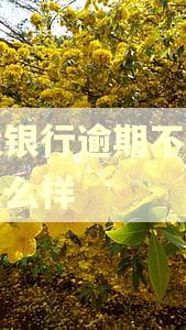 建设银行逾期不处理会怎么样 建设银行逾期不处理会怎么样
