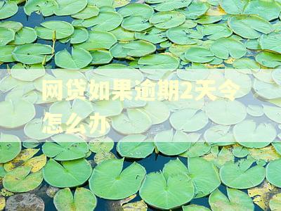网贷如果逾期2天令怎么办
