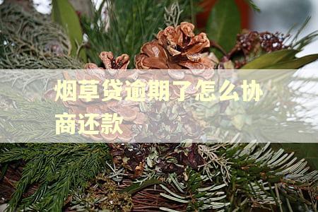 烟草贷逾期了怎么协商还款