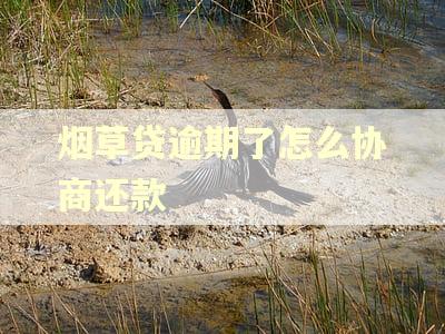 烟草贷逾期了怎么协商还款