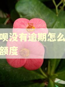 借呗没有逾期怎么降低额度