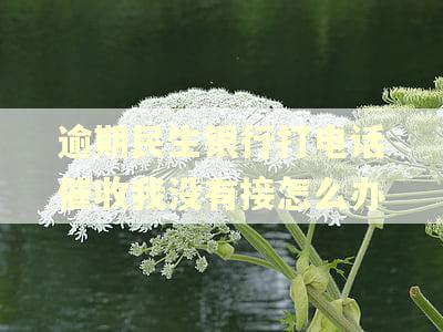 逾期民生银行打电话催收我没有接怎么办