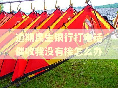 逾期民生银行打电话催收我没有接怎么办