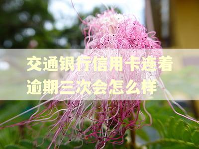 交通银行信用卡连着逾期三次会怎么样