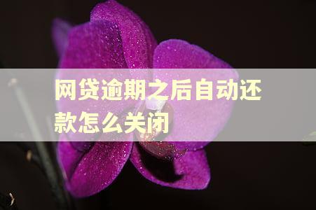 网贷逾期之后自动还款怎么关闭