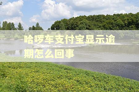哈啰车支付宝显示逾期怎么回事
