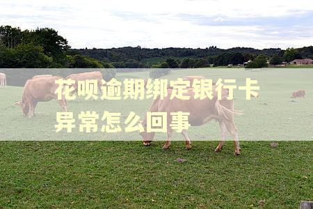花呗逾期绑定银行卡异常怎么回事