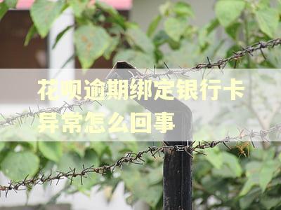 花呗逾期绑定银行卡异常怎么回事