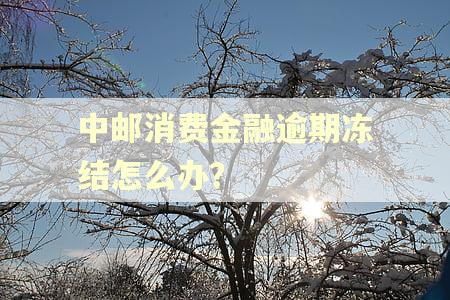 中邮消费金融逾期冻结怎么办? 中邮消费金融逾期冻结怎么办?