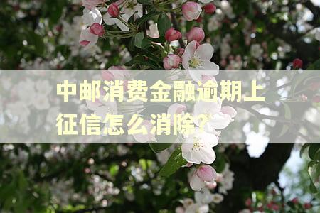 中邮消费金融逾期上征信怎么消除?