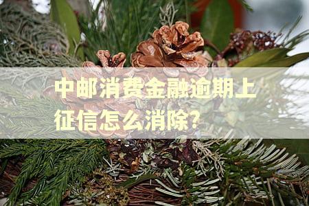 中邮消费金融逾期上征信怎么消除?