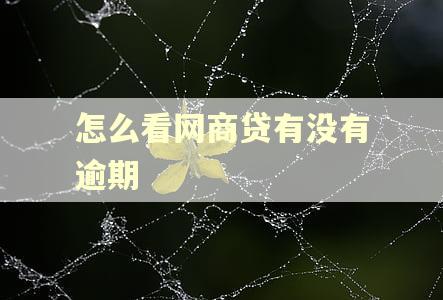 怎么看网商贷有没有逾期