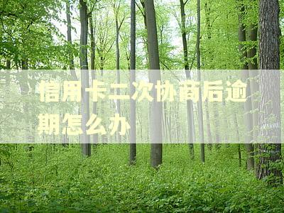 信用卡二次协商后逾期怎么办 信用卡二次协商后逾期怎么办