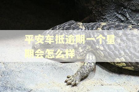 平安车抵逾期一个星期会怎么样