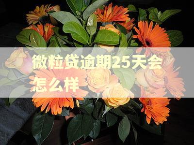 微粒贷逾期25天会怎么样 微粒贷逾期25天会怎么样