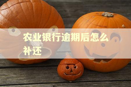 农业银行逾期后怎么补还