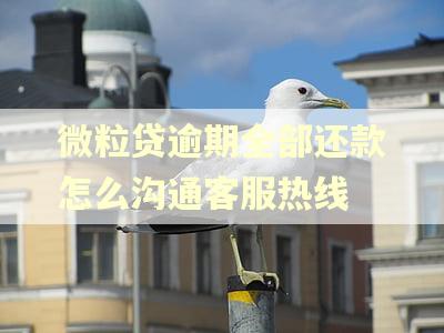 微粒贷逾期全部还款怎么沟通客服热线