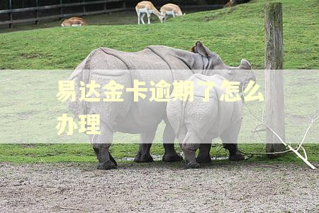 易达金卡逾期了怎么办理
