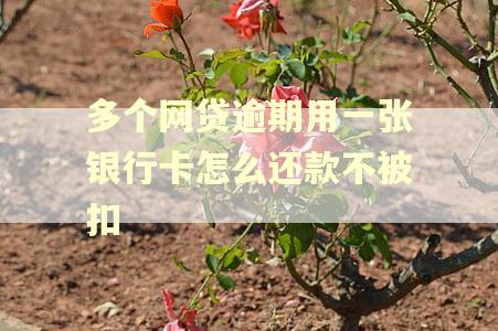 多个网贷逾期用一张银行卡怎么还款不被扣