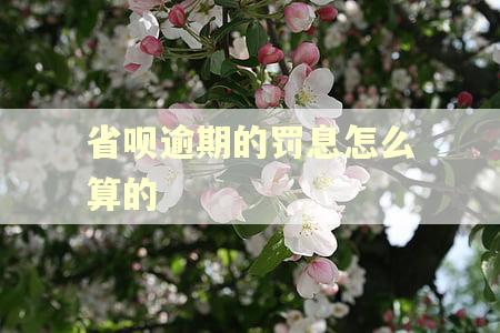 省呗逾期的罚息怎么算的