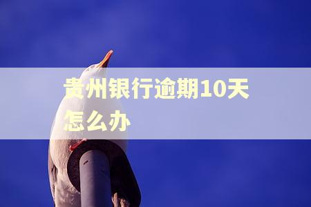 贵州银行逾期10天怎么办