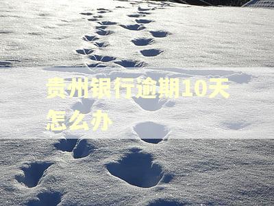 贵州银行逾期10天怎么办