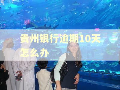 贵州银行逾期10天怎么办
