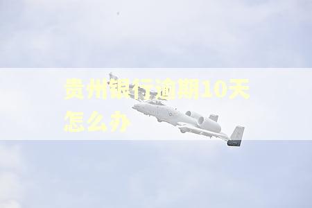 贵州银行逾期10天怎么办 贵州银行逾期10天怎么办