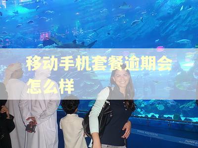 移动手机套餐逾期会怎么样