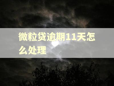 微粒贷逾期11天怎么处理