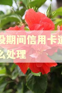 兵役期间信用卡逾期怎么处理