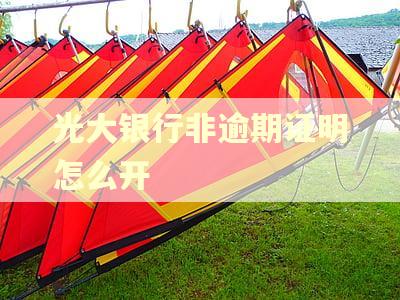 光大银行非逾期证明怎么开