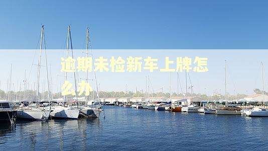 逾期未检新车上牌怎么办