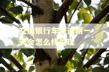 交通银行车贷逾期一天会怎么样处理