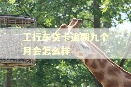 工行车贷卡逾期九个月会怎么样