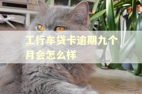 工行车贷卡逾期九个月会怎么样