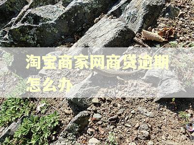 淘宝商家网商贷逾期怎么办