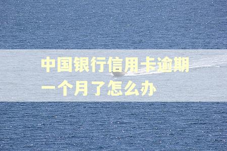 中国银行信用卡逾期一个月了怎么办