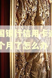 中国银行信用卡逾期一个月了怎么办
