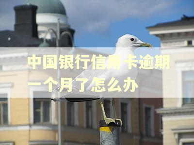 中国银行信用卡逾期一个月了怎么办