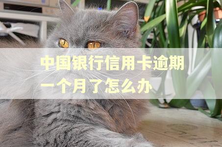 中国银行信用卡逾期一个月了怎么办 中国银行信用卡逾期一个月了怎么办