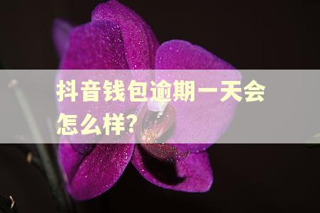 抖音钱包逾期一天会怎么样? 抖音钱包逾期一天会怎么样?