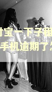 支付宝一下子租了10个手机逾期了怎么办