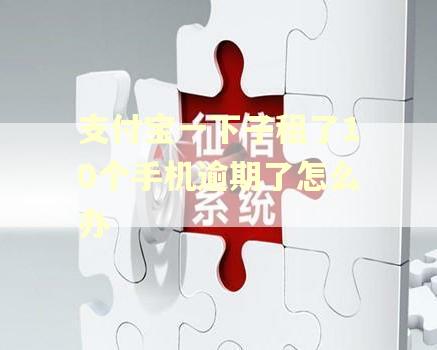 支付宝一下子租了10个手机逾期了怎么办