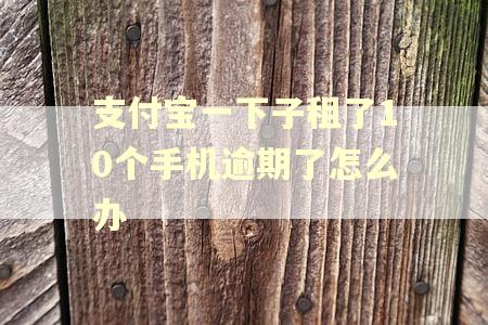 支付宝一下子租了10个手机逾期了怎么办 支付宝一下子租了10个手机逾期了怎么办