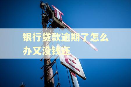 银行贷款逾期了怎么办又没钱还 银行贷款逾期了怎么办又没钱还