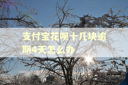 支付宝花呗十几块逾期4天怎么办